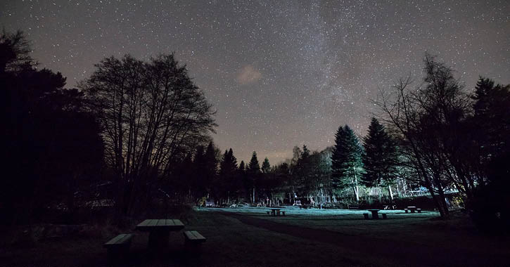 starry night sky above Hamsterley Forest